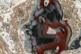 Polished Baker Ranch Thunderegg with Sagenite - New Mexico #145671-1